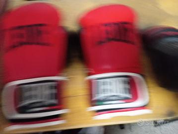 Guanti da boxe 