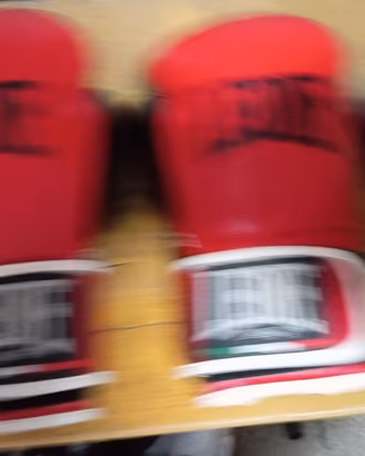 Guanti da boxe 