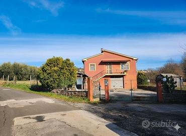 Casa indipendente con uliveto 4000 mq