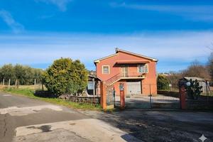 Casa indipendente con uliveto 4000 mq