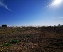 Terreno agricolo 4000 mq zona Birgi