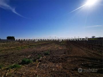 Terreno agricolo 4000 mq zona Birgi