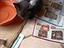 Immagine 3