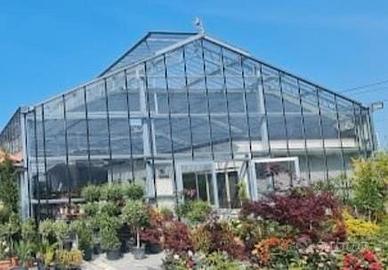 serra  in ferro e vetro per commercio e produzione