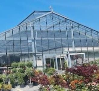 serra  in ferro e vetro per commercio e produzione