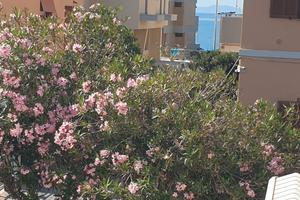 A Castiglione della Pescaia, nella Maremma Toscana