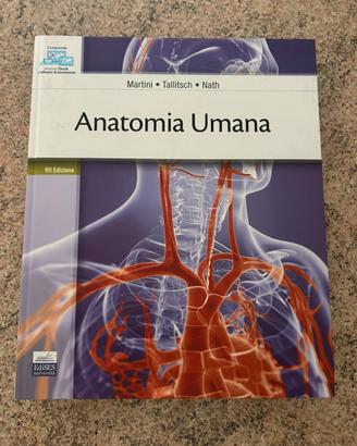 Anatomia Umana Martini VII Edizione