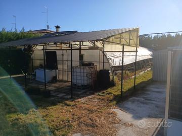 Serra Agricola 8x20x3,8 completa di tettoia