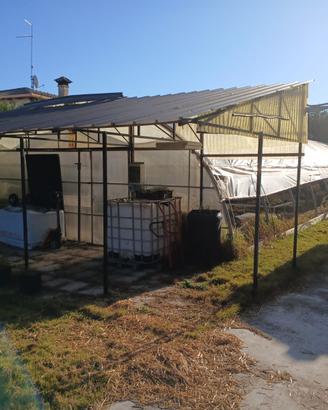 Serra Agricola 8x20x3,8 completa di tettoia