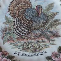 Coppia di piatti  "Wildlife" di Churchill