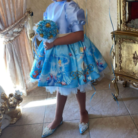 Vestito cenerentola con scarpe