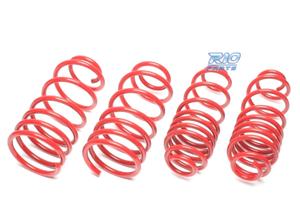 KIT MOLLE SPORTIVI PER FIAT