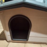 cuccia per cani 