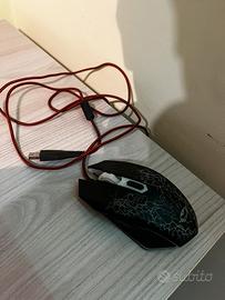 mouse