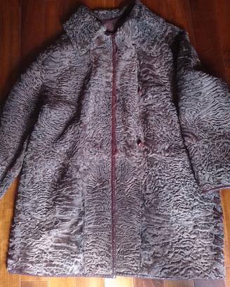 Persiano  reversibile 