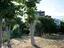Immagine 29