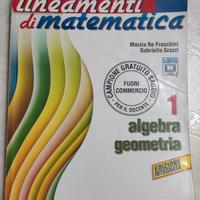 Lineamenti di matematica 1