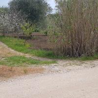 Terreno agricolo in zona Don Antonio a Matera
