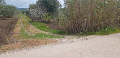 Terreno agricolo in zona Don Antonio a Matera