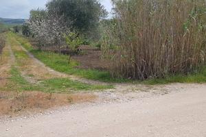 Terreno agricolo in zona Don Antonio a Matera