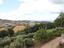 Immagine 21