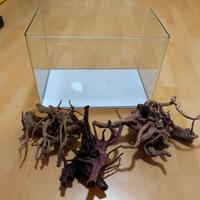 acquario 35lt con tronchi