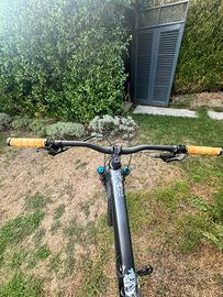 Scott genius 910