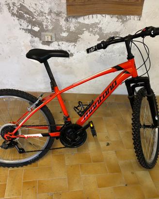 Mountain Bike Montano Escape 24”
