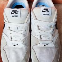 nike sb alleyoop