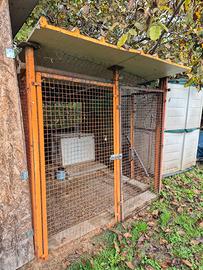 BOX PER CANI