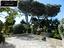 Immagine 7