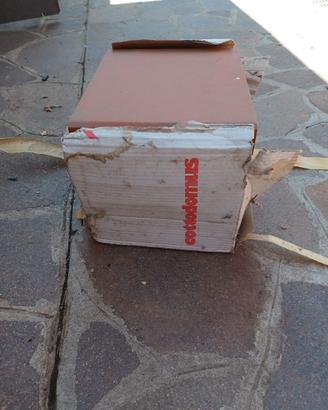 coprimuretto in cotto Domus 