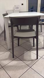 Tavolo e sedie Calligaris