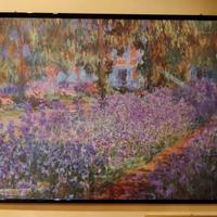 Claude Monet - Iris nel giardino di Giverny