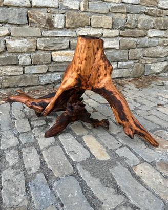Radice decorativa