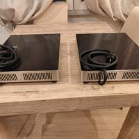2 piastre a induzione portatile Hendi