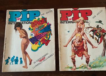 Rivista PIP  international 1972