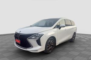 FORTHING U-Tour U-Tour 1.5 TGDI 5 posti