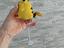 Immagine 4