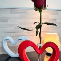 Cuore San Valentino Stampato 3d