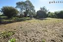 terreno-agricolo-corbetta-cod-rif-3264171vcg-