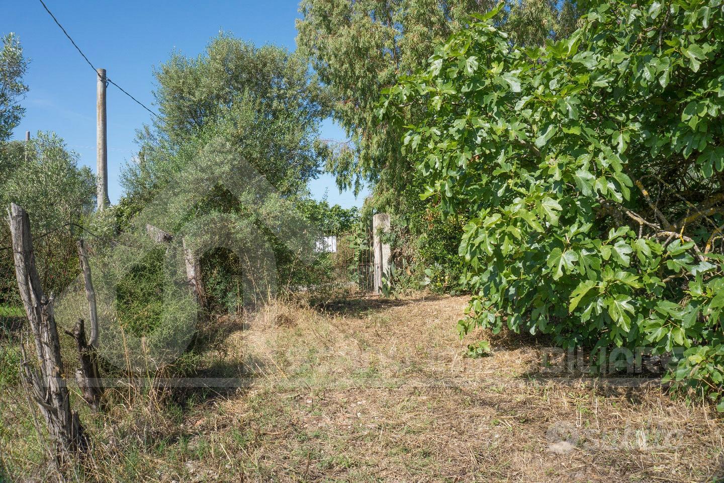 Monastir terreno agricolo con pozzo e elettricità - Vista 5