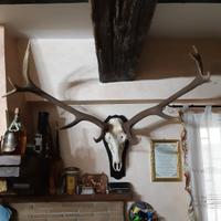 Corni da arredamento 