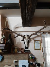 Corni da arredamento 