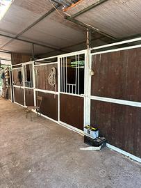 Maneggio box per cavalli