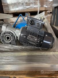 Motore elettrico asincrono trifase + riduttore