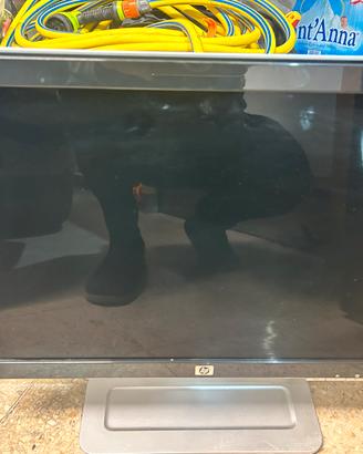 Monitor HP