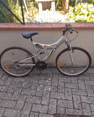 mountain bike