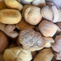 Pane secco