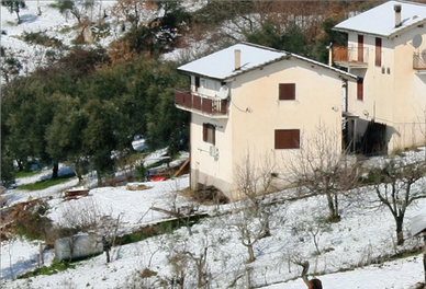 Casale